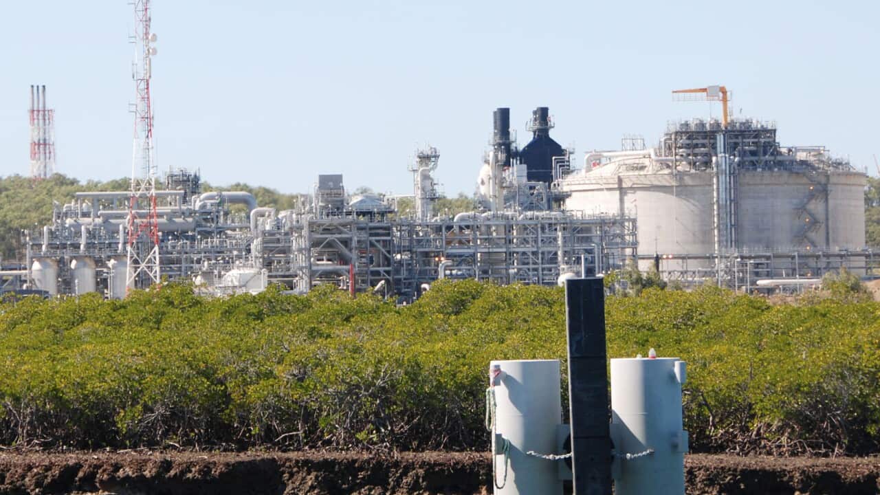 A gas plant with a row of bushes in front of it.