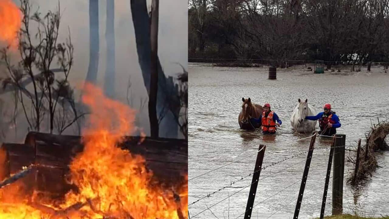 Se pronostican más incendios forestales e inundaciones durante la temporada de verano en Australia.