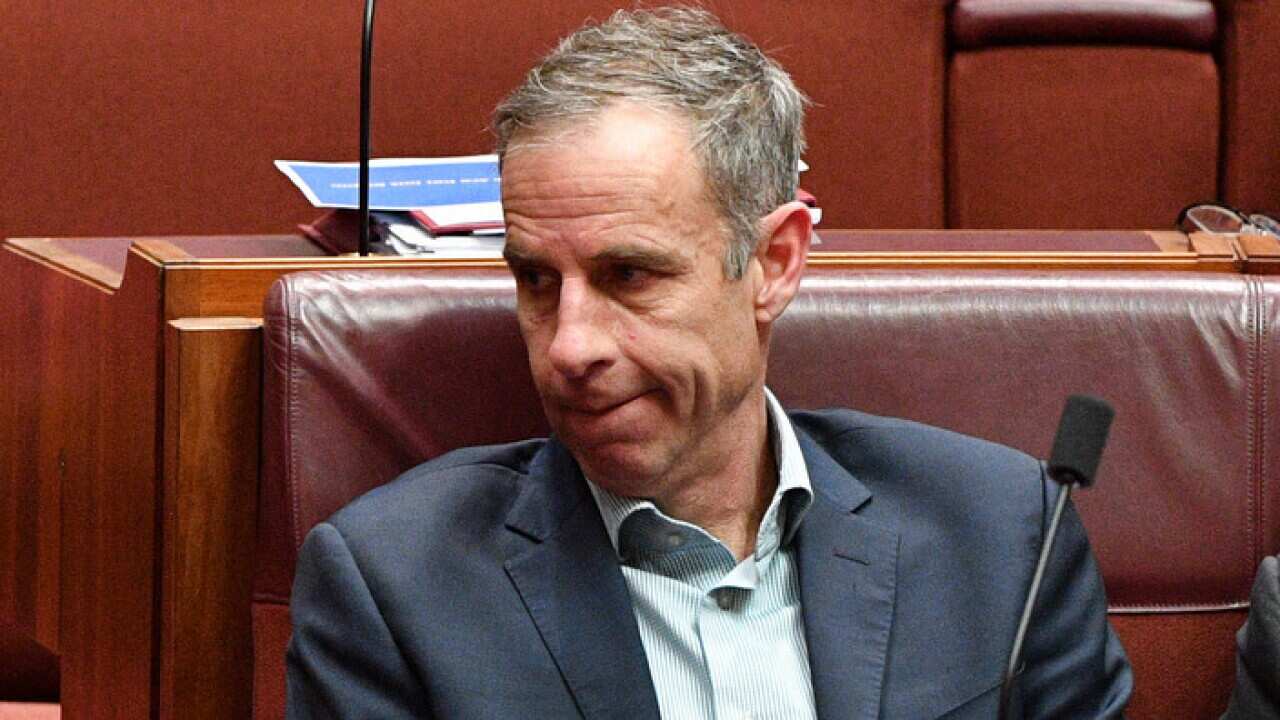 Greens senator Nick McKim says laws could be unconstitutional