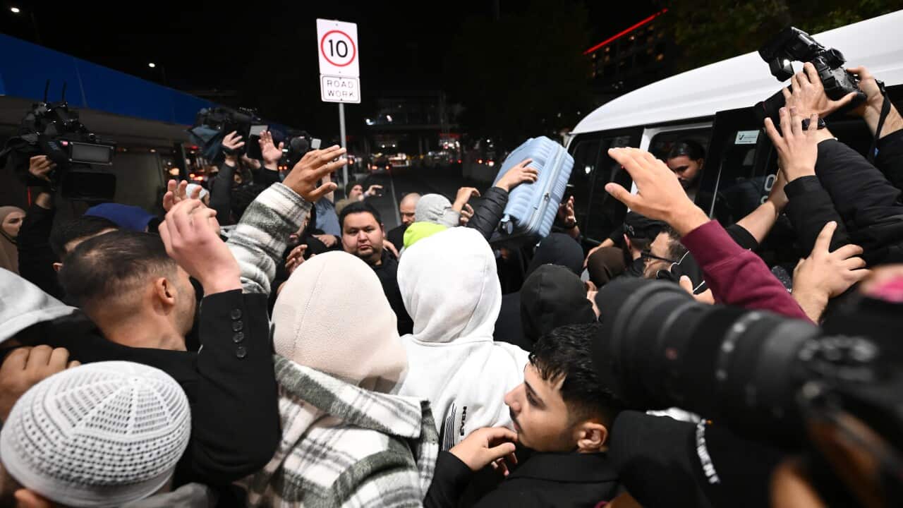 ISIS BRIDES RETURN
