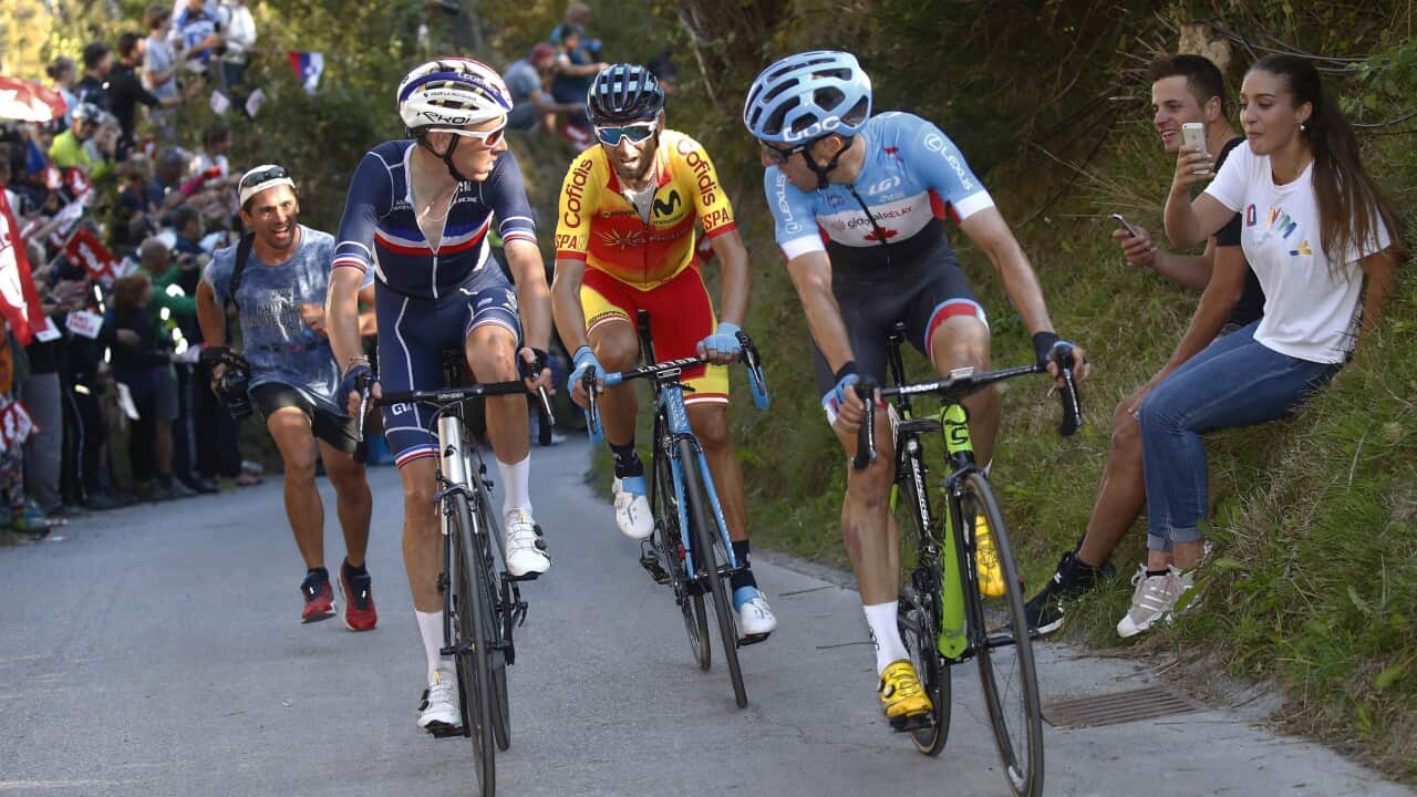 Alejandro Valverde, UCI Road World Championships