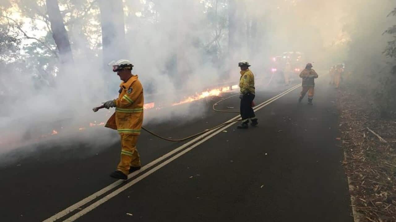 Firefighters in the Royal National Park