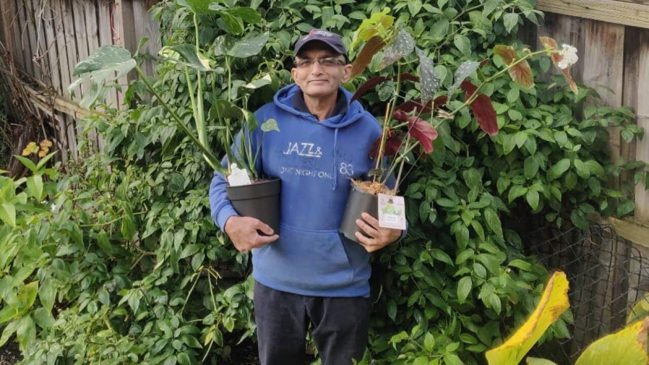 Image for read more article 'READ MORE'