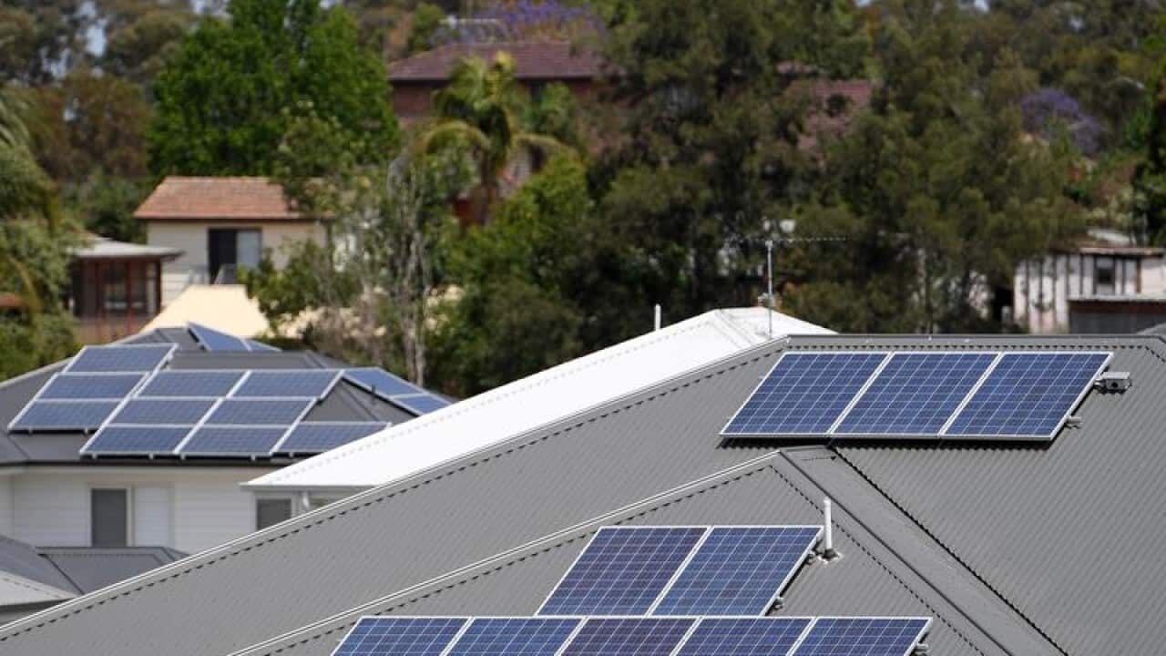 Solar panels are seen on the rooftops of houses in suburban Sydney.