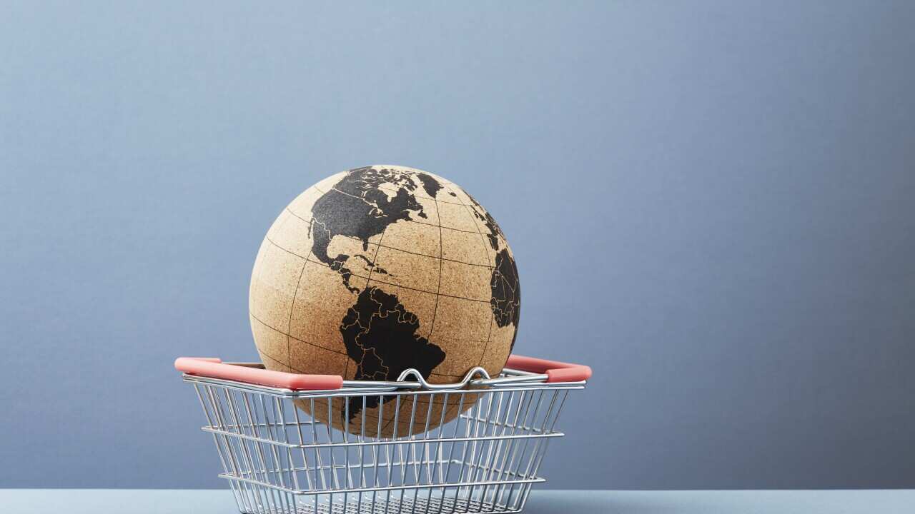 A world globe in a shopping basket