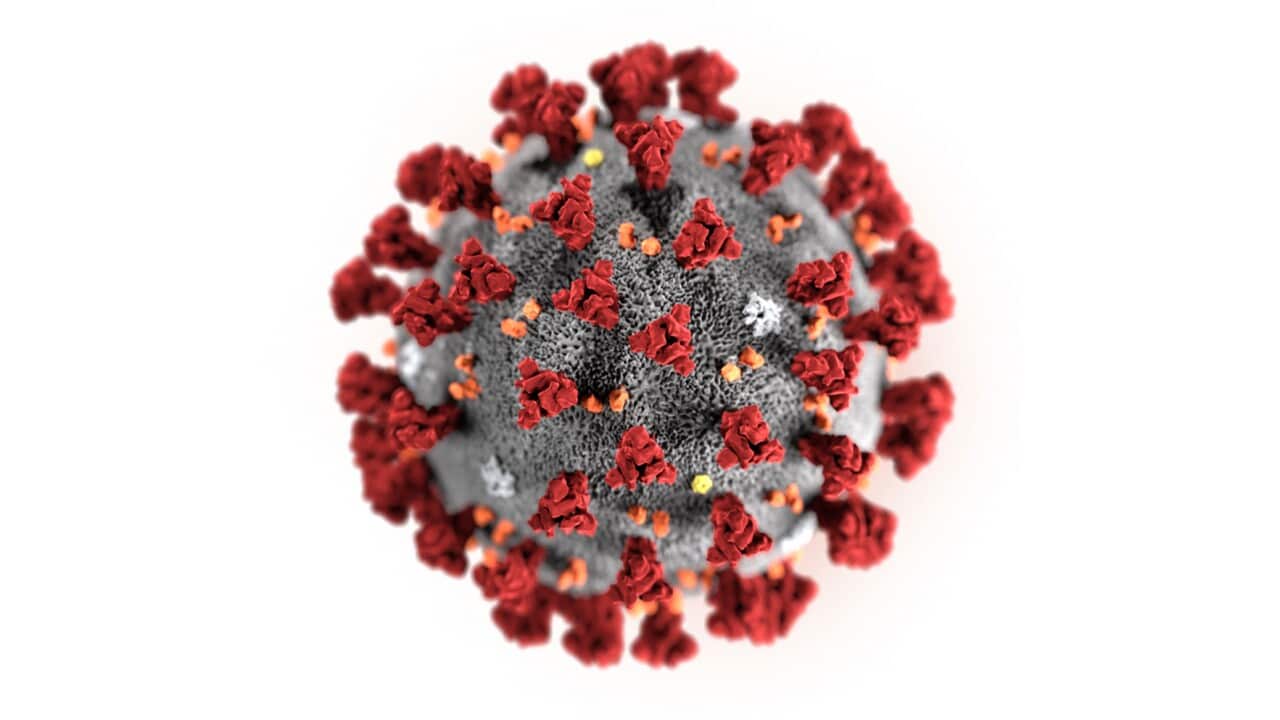 Coronavirus