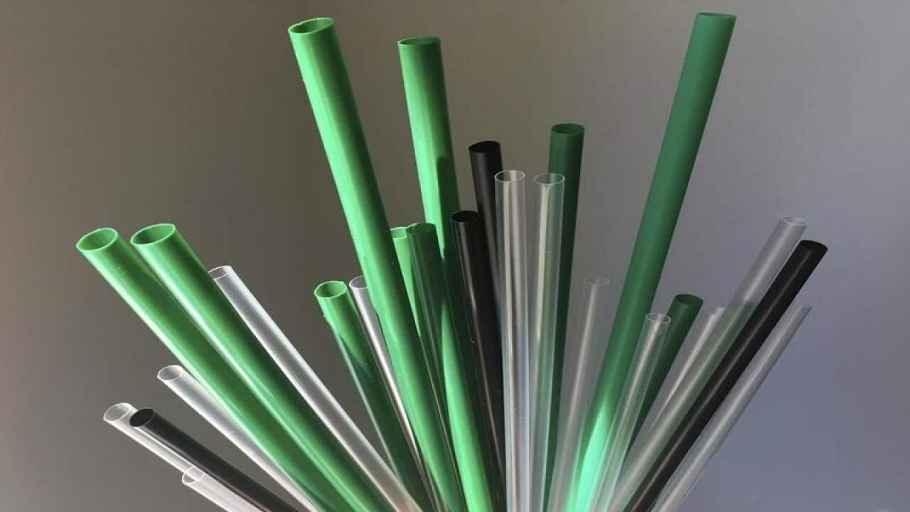 Plastic drinking straws