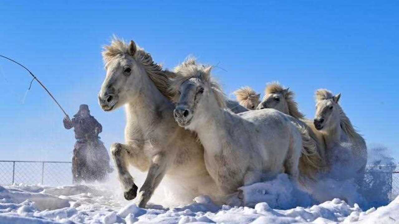 Image for read more article 'READ MORE'