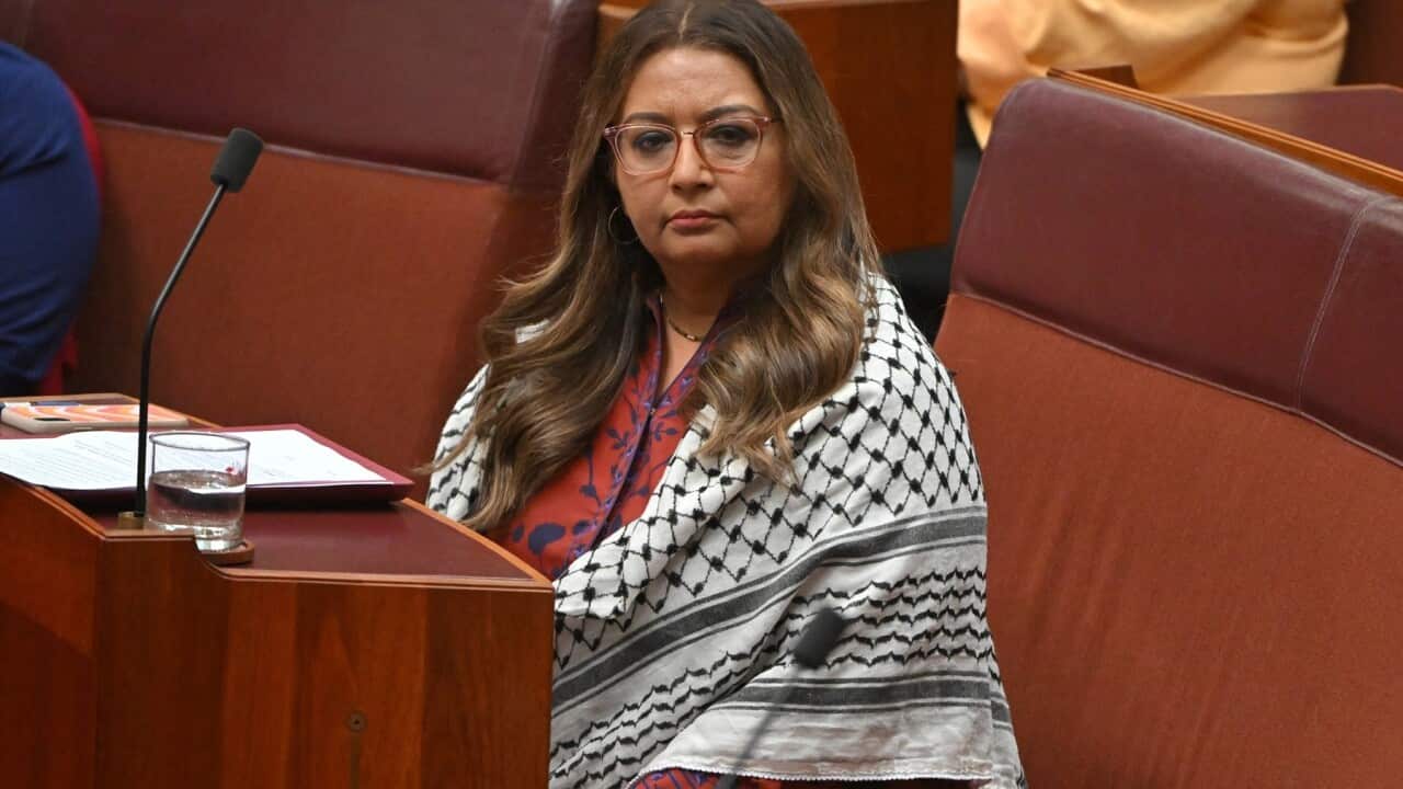 thumbnail_Greens Senator Mehreen Faruqi in the Senate chamber at Parliament House in Canberra, Monday, November 6 (AAP).jpg