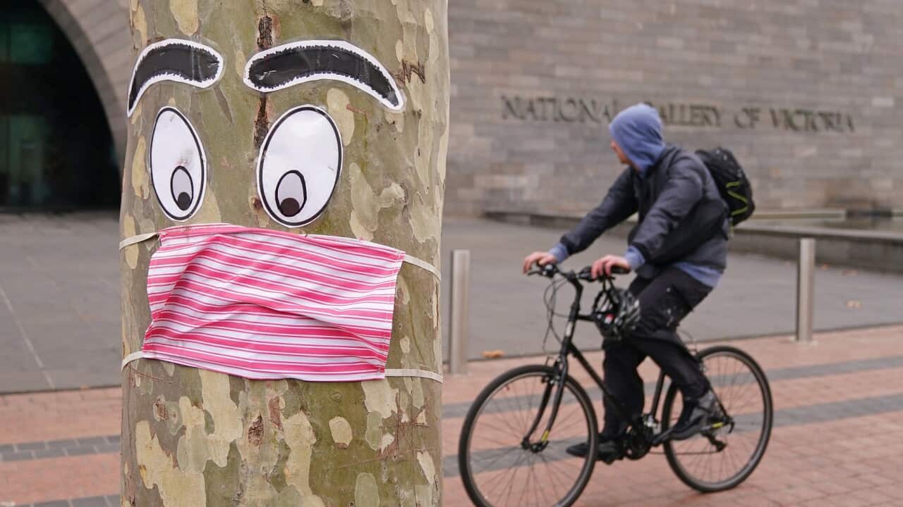 The persistent rise of COVID-19 cases in Victoria means people must once again cancel social plans and struggling businesses must wait (File Image).