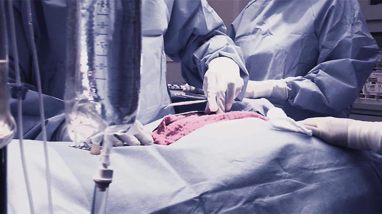 Is China still killing people for their organs? (Supplied)