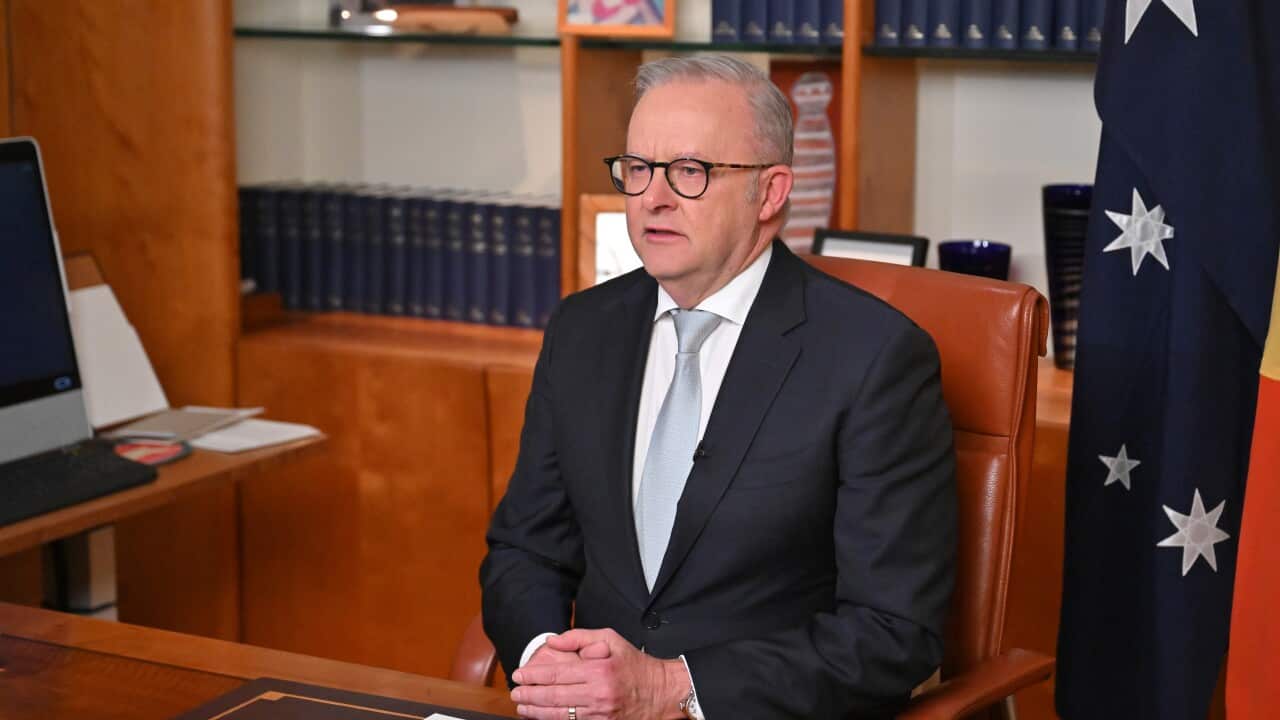 ANTHONY ALBANESE NATIONAL BROADCAST