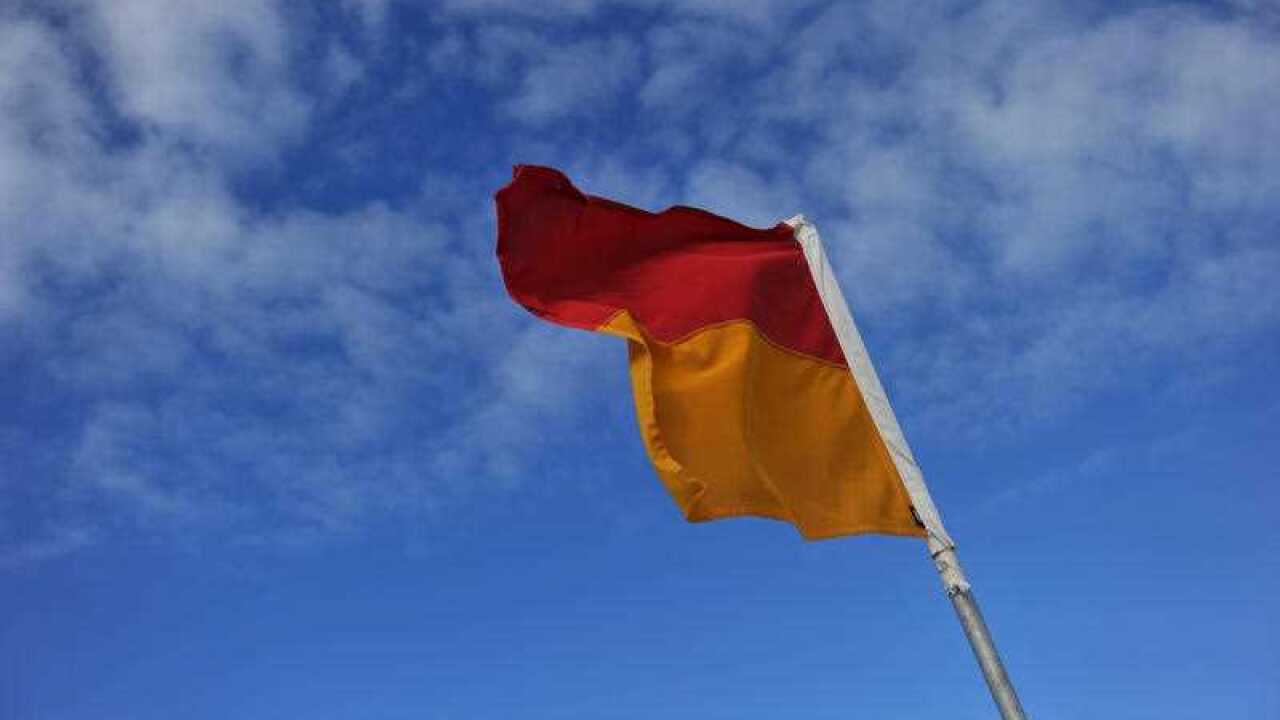 Beach, flag, surf lifesaving