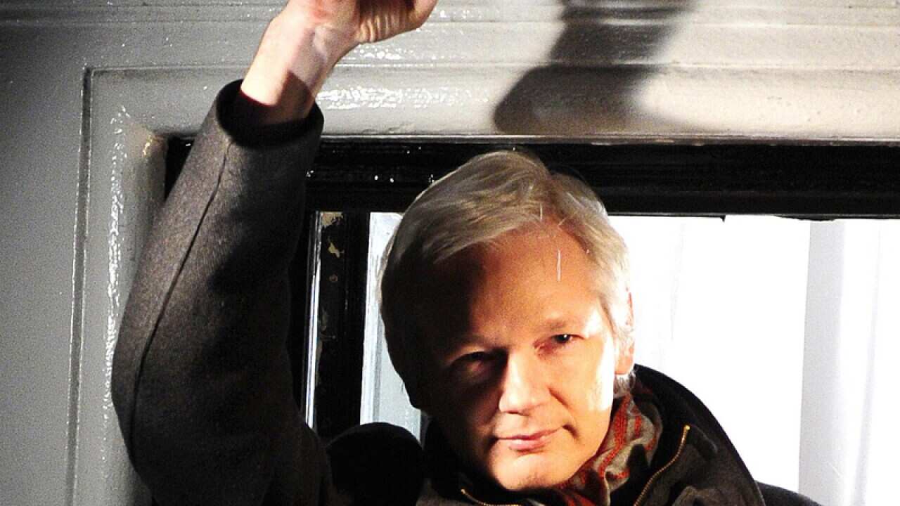 Julian Assange to run for Senate