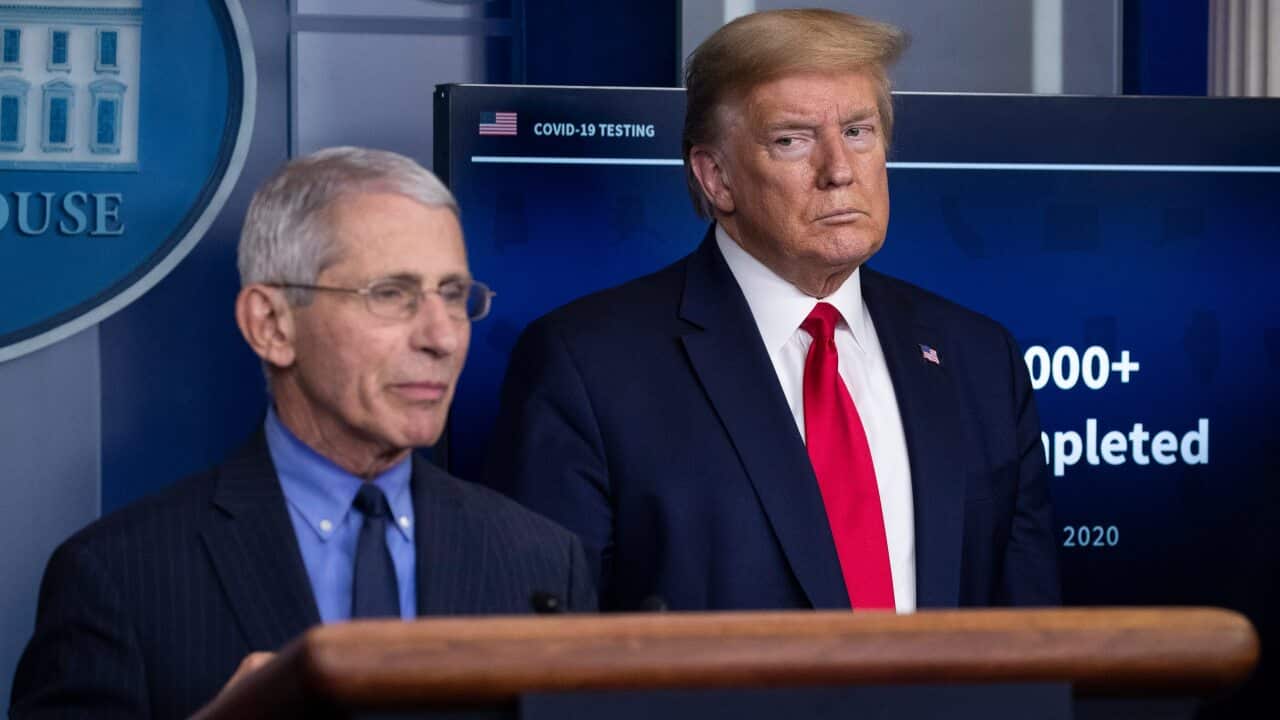 A file photo of Dr Anthony Fauci, director of the National Institute of Allergy and Infectious Diseases and President Donald Trump.