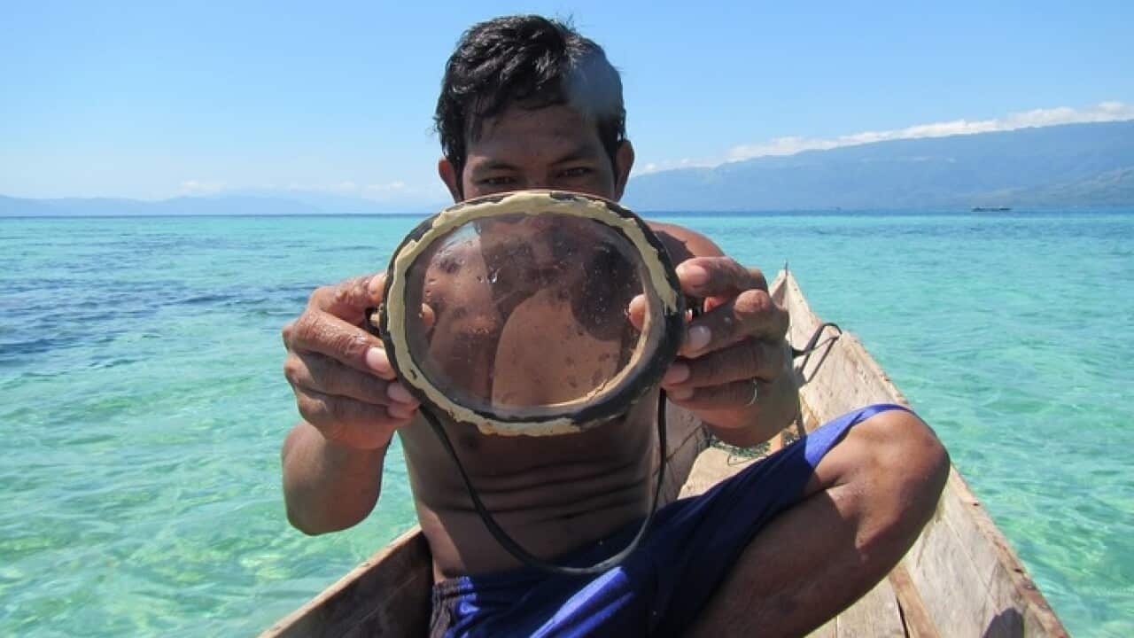 Bajau divers