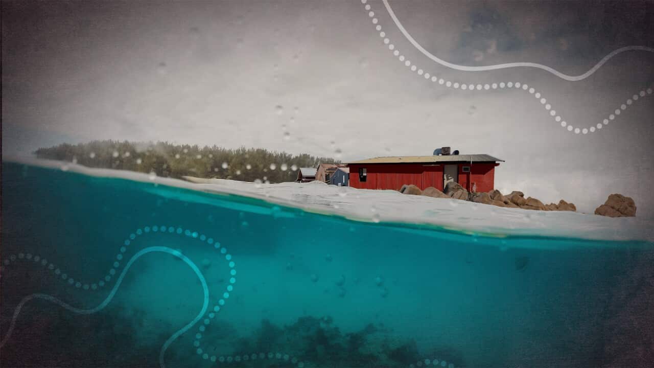 CLIMATE REPORT WEB HERO.jpg