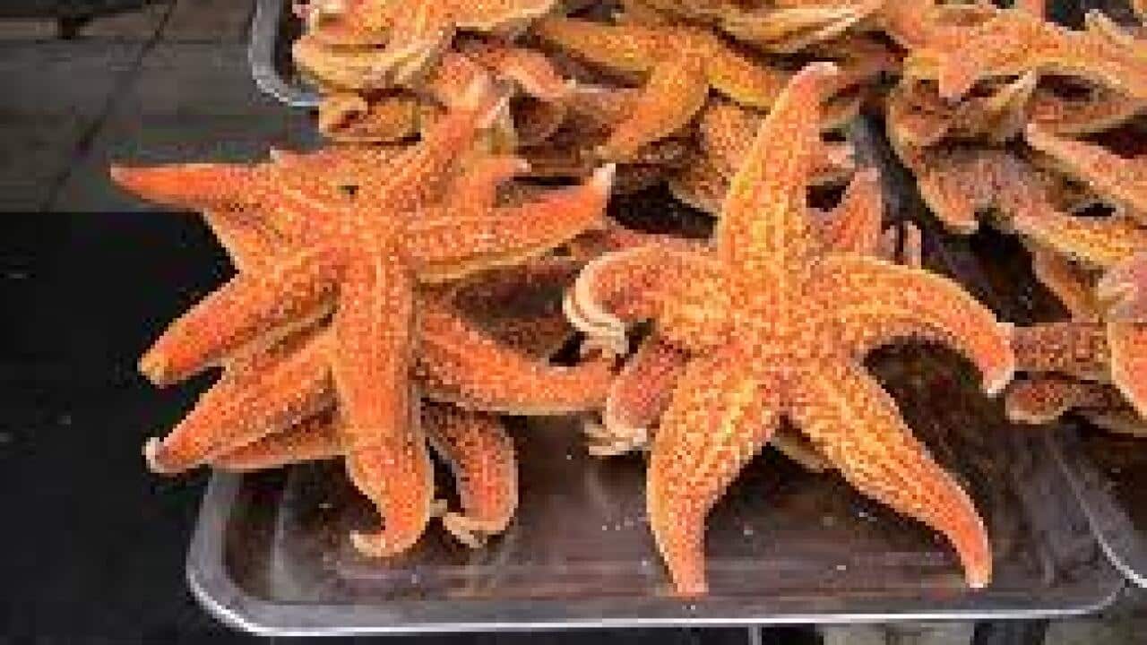 Starfish