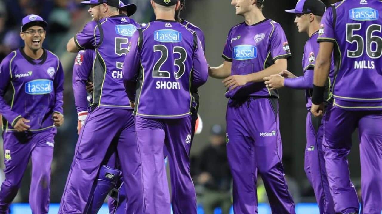 Hobart Hurricanes players celebrate after claiming a wicket
