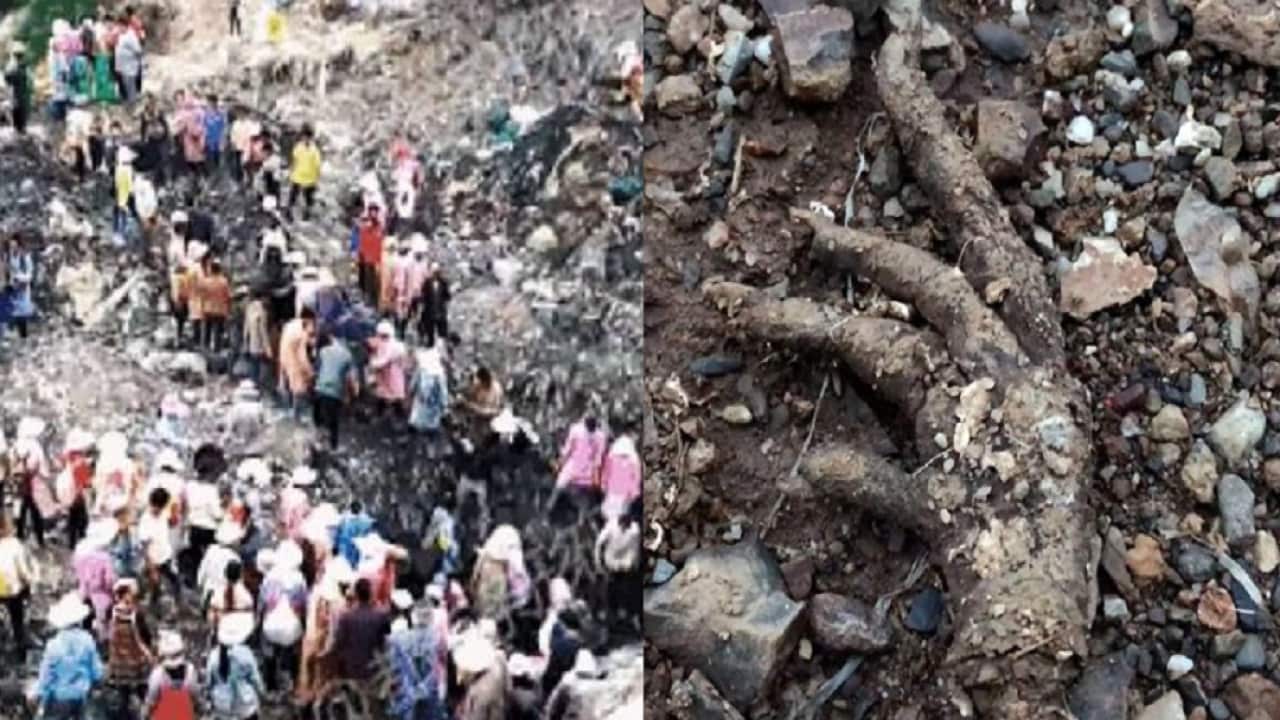 Villagers collect the meat (L) and a stray chicken foot (right).