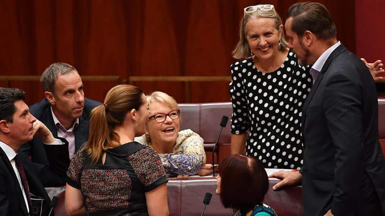 Greens Senators Greens Senator Scott Ludlum, Nick Kim, Sarah Hanson-Young, Janet Rice, Rachel Siewert, Lee Rhiannon and Peter Whish-Wilson in March, 2017