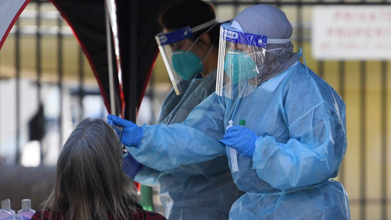 People line up for COVID-19 testing at a pop-up clinic at Rushcutters Bay in Sydney on 29 July.
