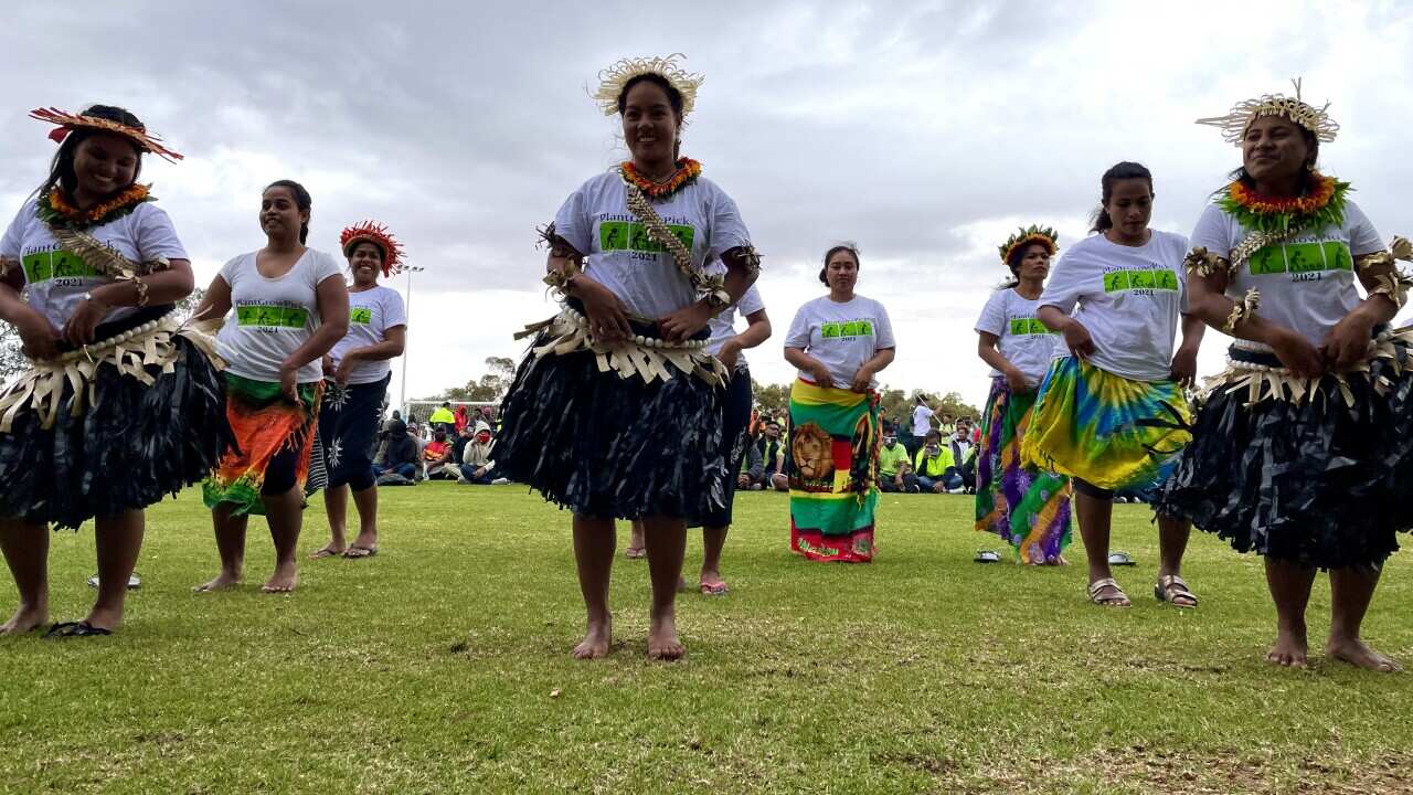 South Australia's Riverland community puts on an event to thank the Pacific Island workers who saved their harvest.