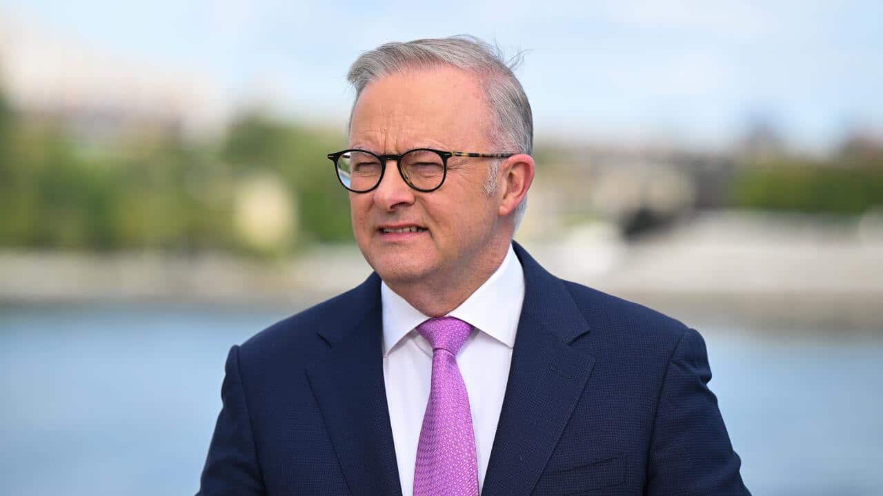 Anthony Albanese, wearing a dark blue suit, white shirt and pink tie.