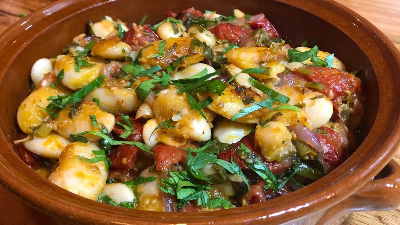 Image for read more article 'READ MORE'