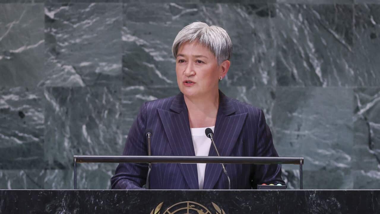 Summit of the Future during the 79th Session United Nations General Assembly