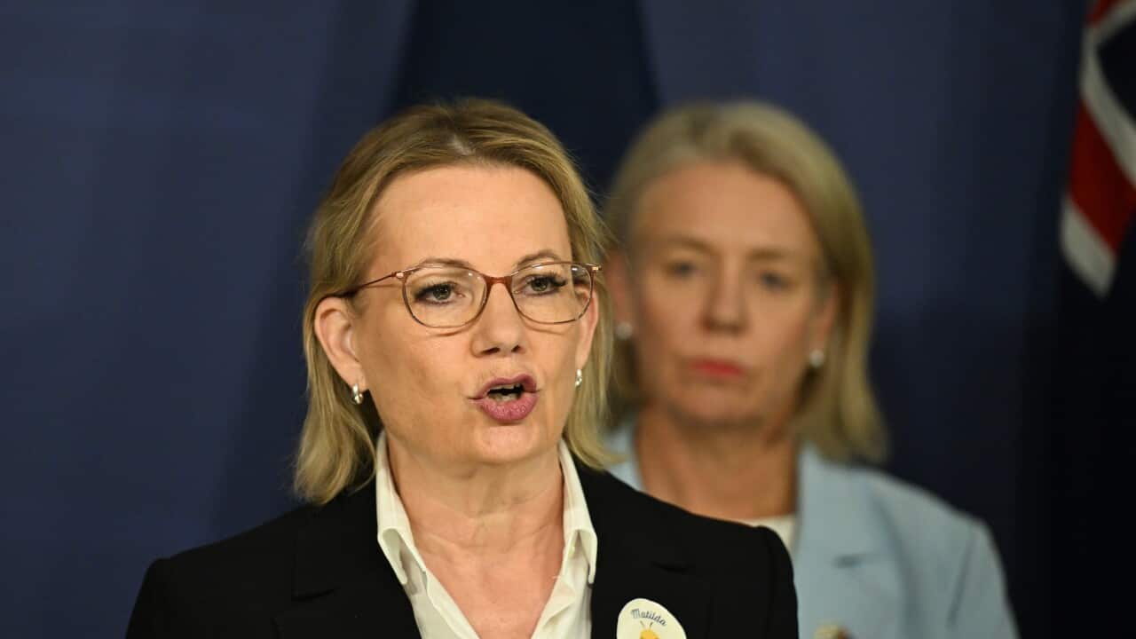 Sussan Ley speaks at a press conference.