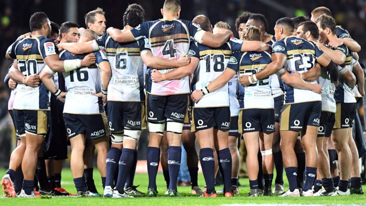 The Brumbies