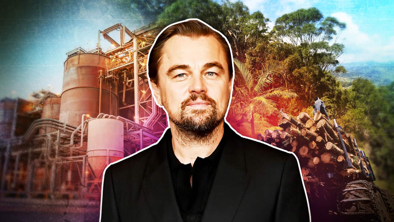 Actor Leonardo Di Caprio looks to the front, a logging truck is behind him next to a large industrial building