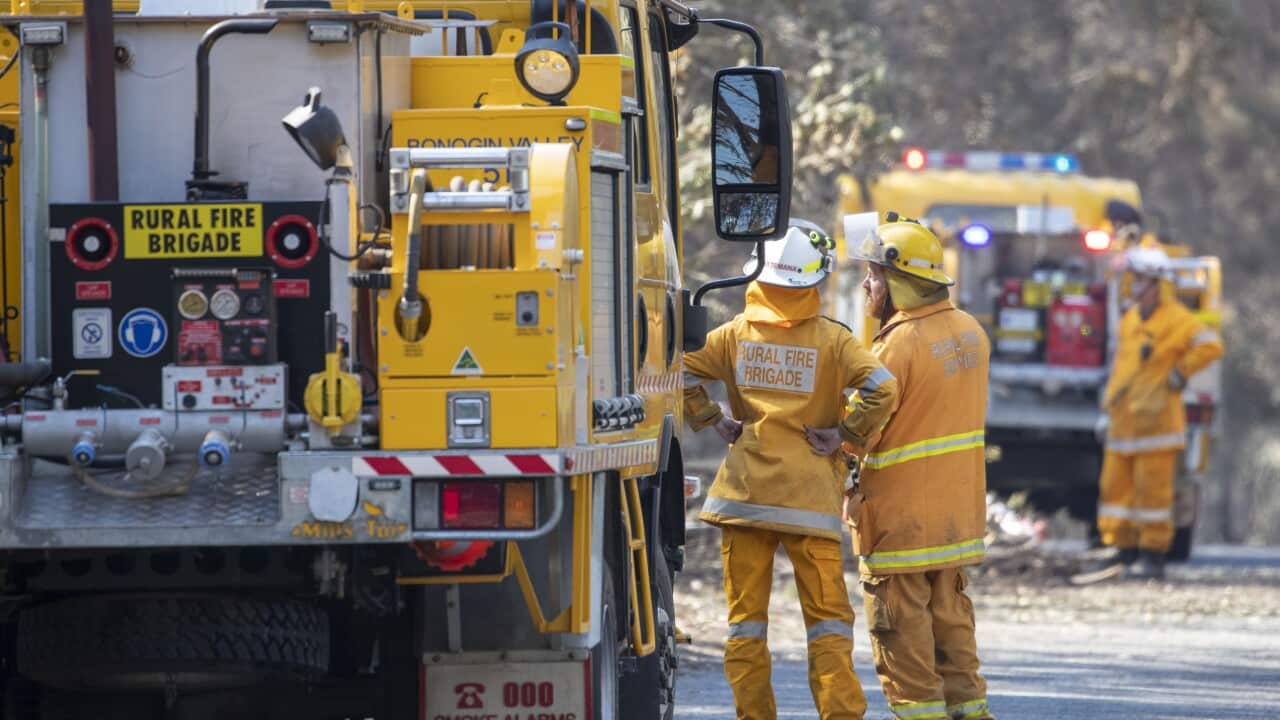 Members of the Queensland Fire Brigade put out spot fires at Binna Burra Road, Beechmont where ten homes were lost to the fires, Thursday, September 12, 2019. (AAP Image/Glenn Hunt) NO ARCHIVING
