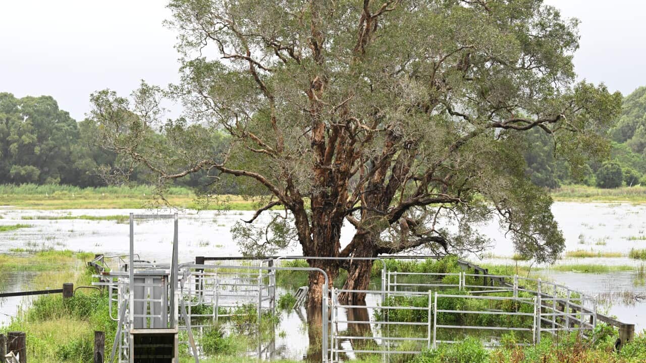 The Aftermath Of Tropical Cyclone Alfred In The Northern Rivers