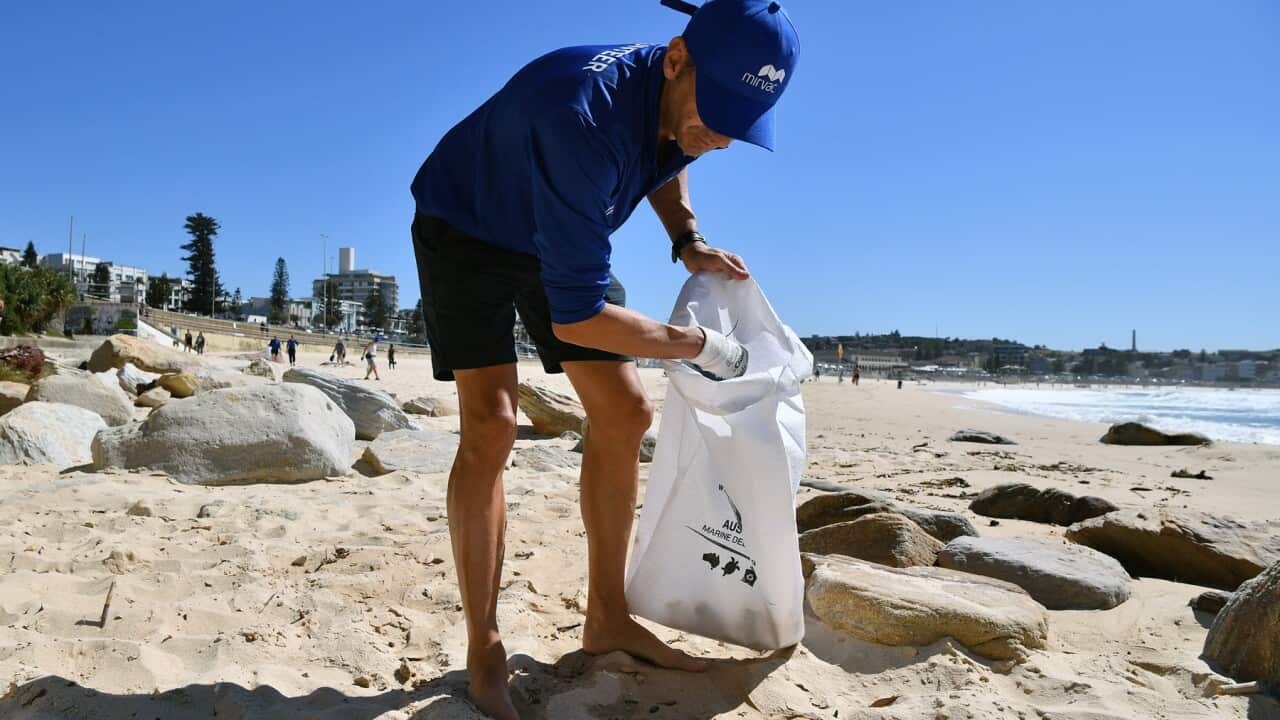 A volunteer cleans up at Bondi Beach