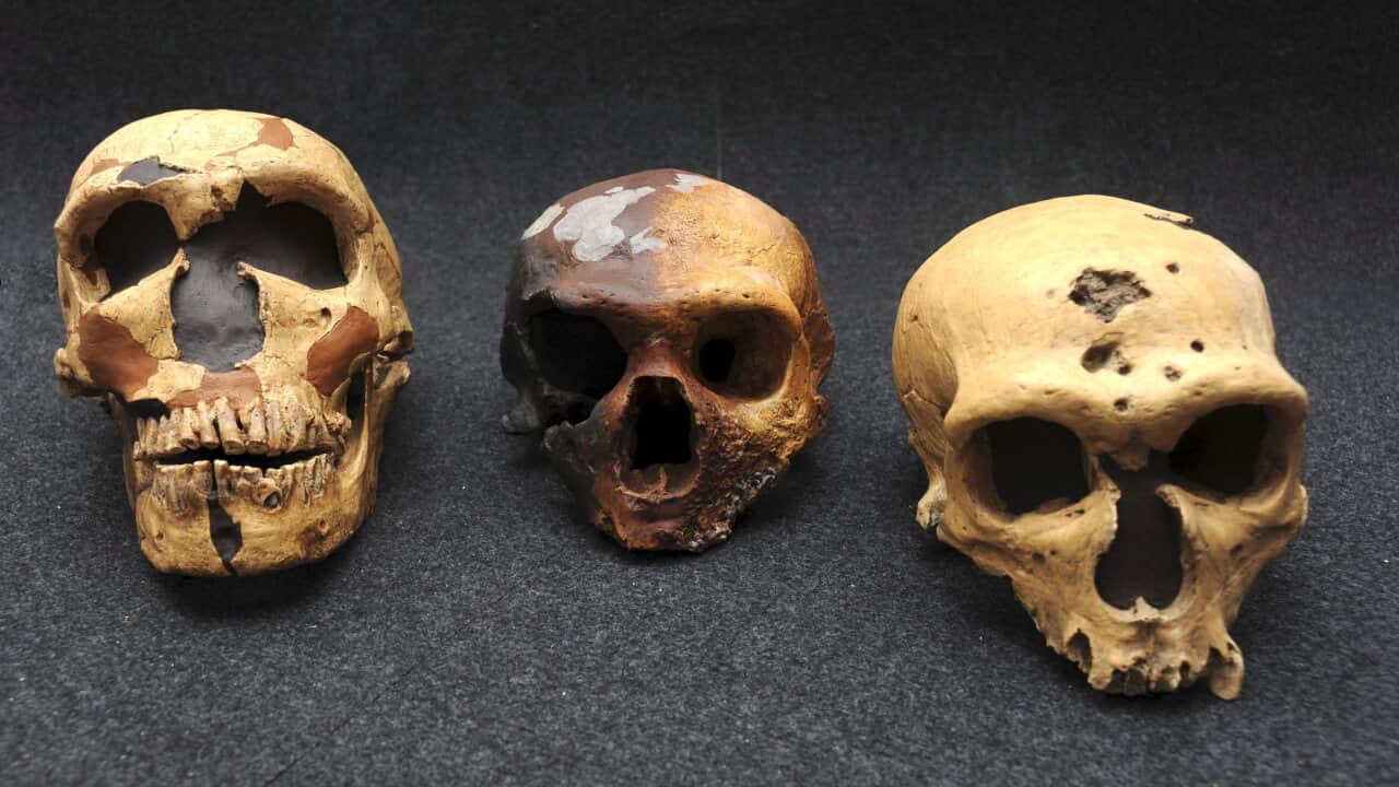 Spain_skulls_051213_aap.jpg