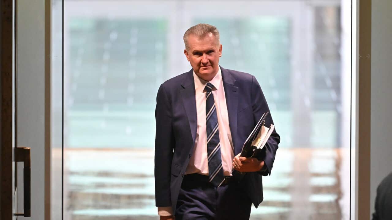 Image for read more article 'READ MORE'