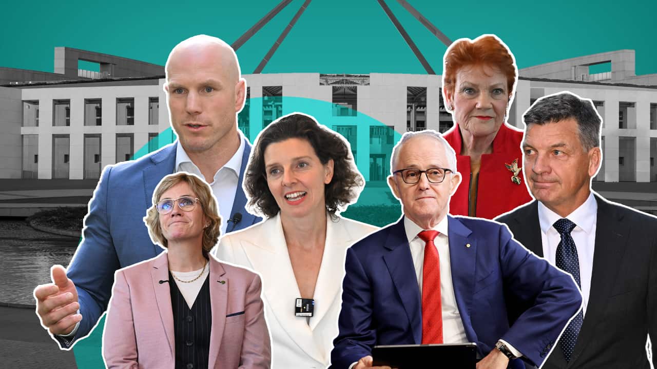 Collage of Australian politicians in front of Parliament House