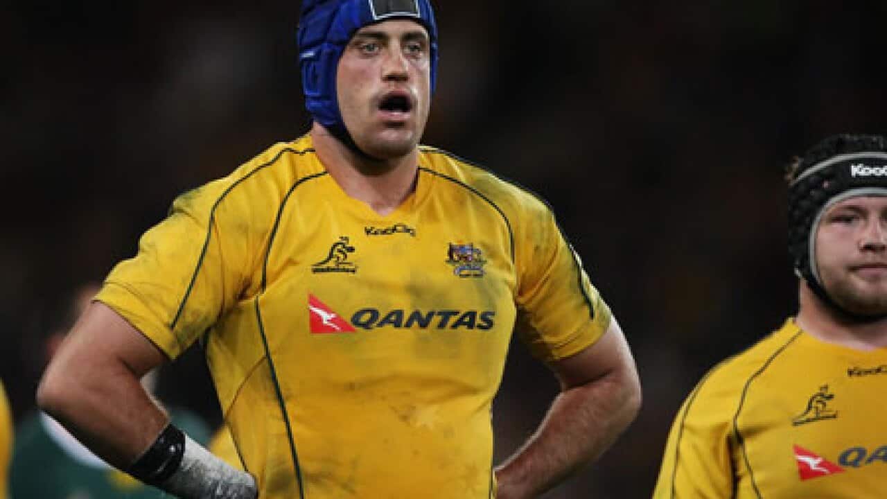 wallabies_nathansharpe_100725_B_aap_1176474784