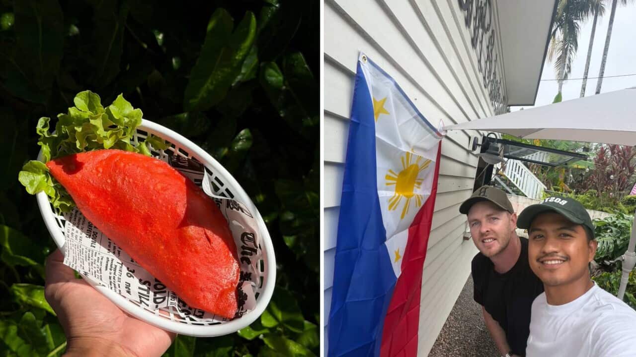 658577693_2364891154021902_803091691365690126_n (1).jpg