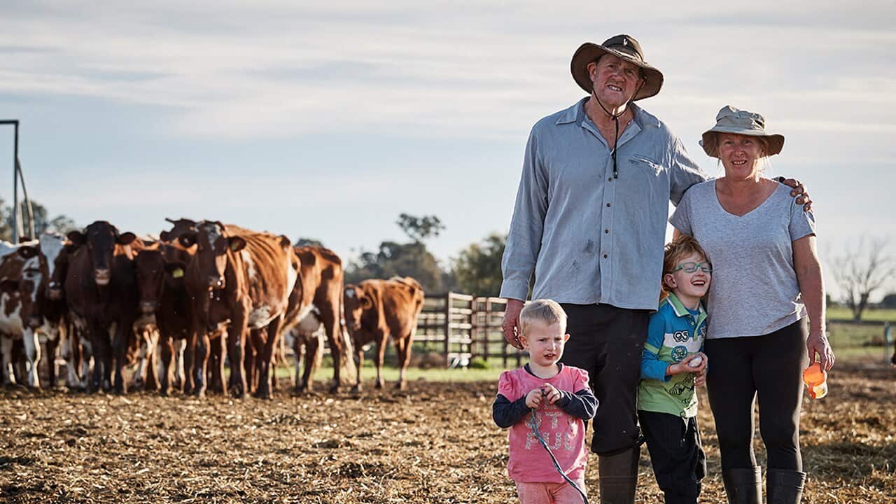 Struggle Street season 3