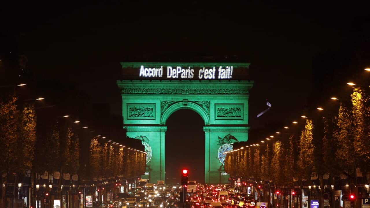 The Eiffel Tower is illuminated in green