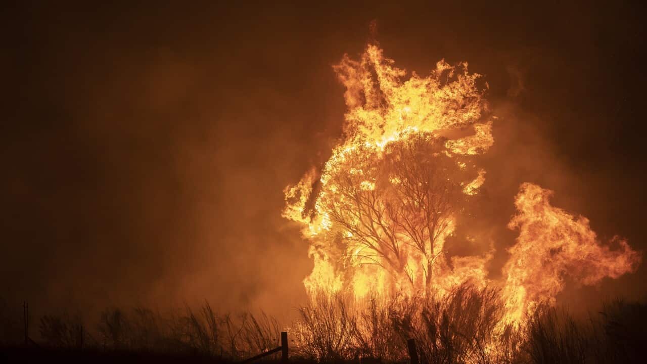 State Of Emergency Declared In ACT As Canberra Braces For Increased Bushfire Threat