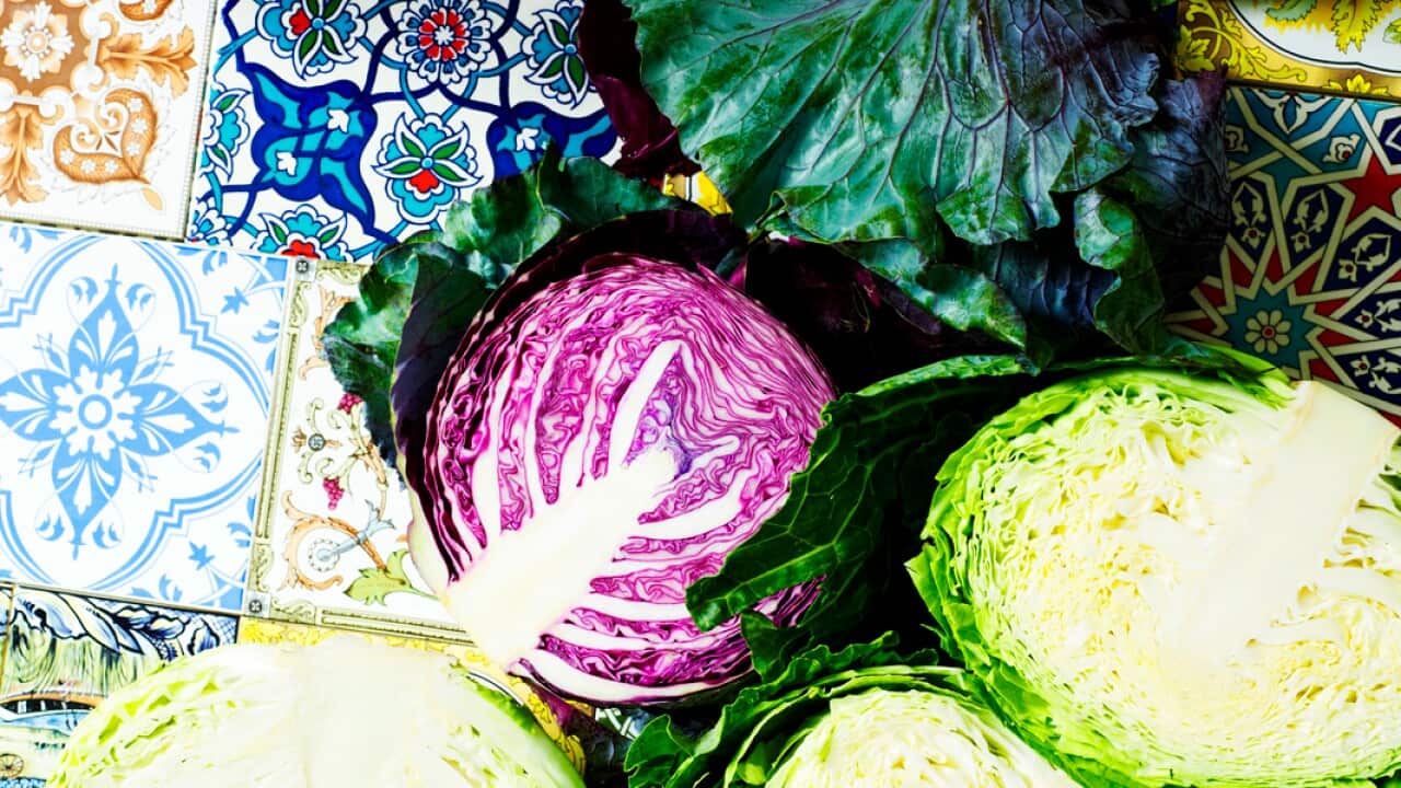 Feast_Cabbage_056.jpg