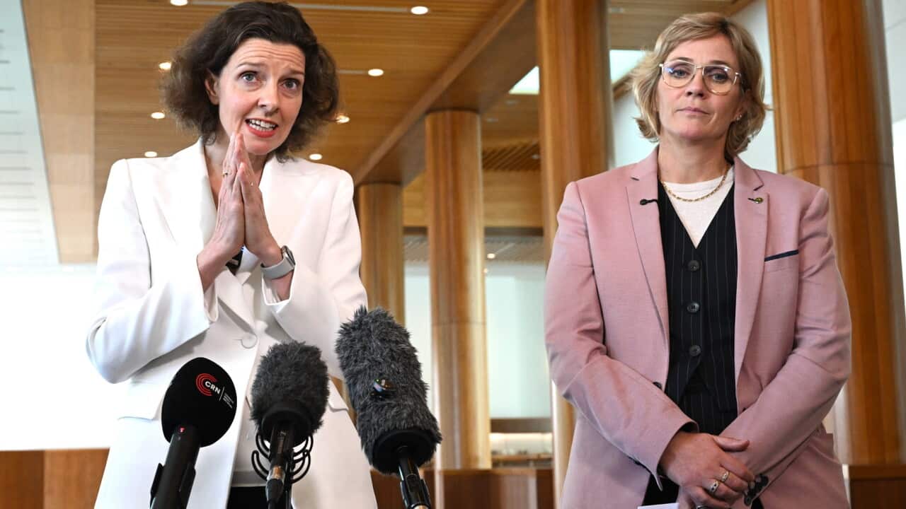 ZALI STEGGALL PRESSER