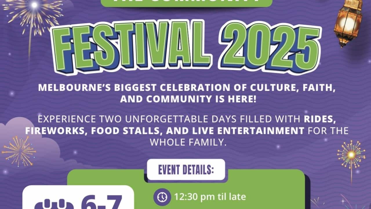 FESTIVALedit.jpg