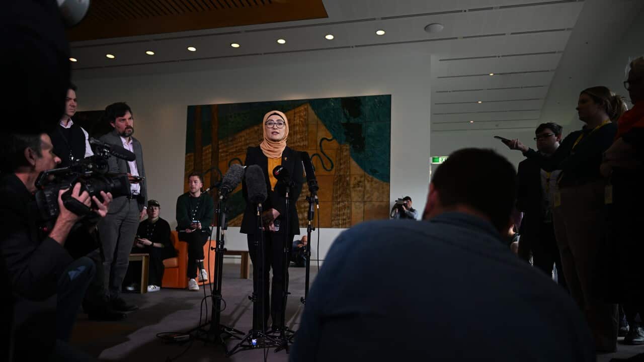 FATIMA PAYMAN PRESSER