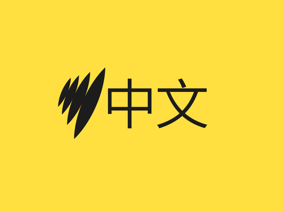 SBS50 - Chinese