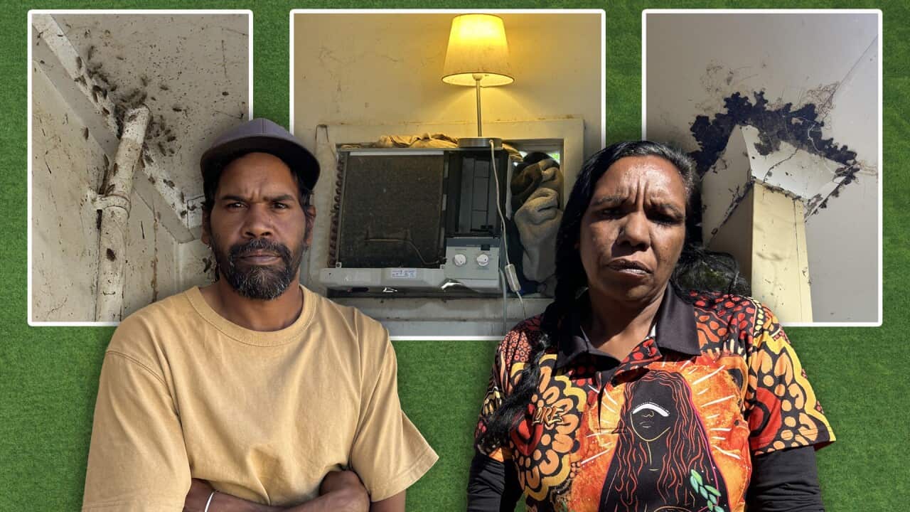 WA HOUSING web hero.jpg